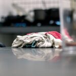 The Kitchen Cleaning Order That Actually Gets It Clean - slow cleaning